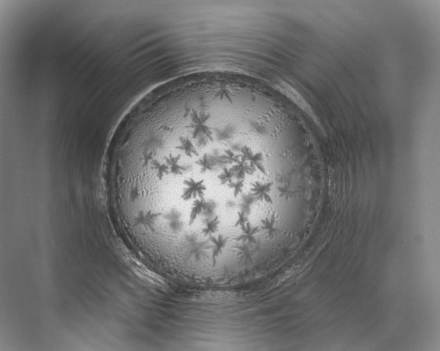 X0000072931068200608041210