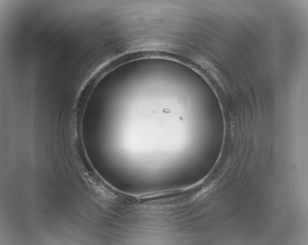 X0000072931069200608041210