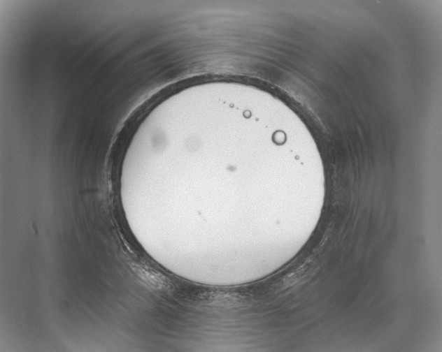 X0000072931070200608041210