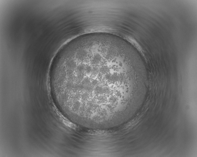 X0000072931072200608041210