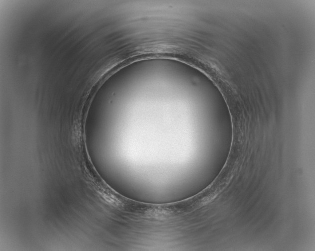 X0000072931073200608041210