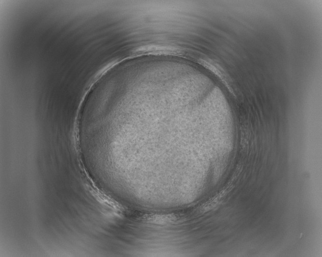 X0000072931074200608041210