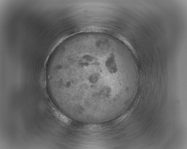 X0000072931075200608041210