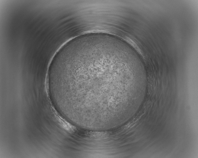 X0000072931076200608041210