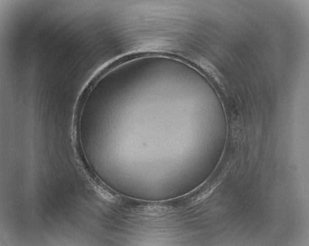 X0000072931077200608041210