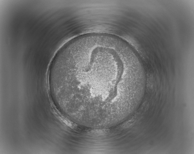 X0000072931078200608041210