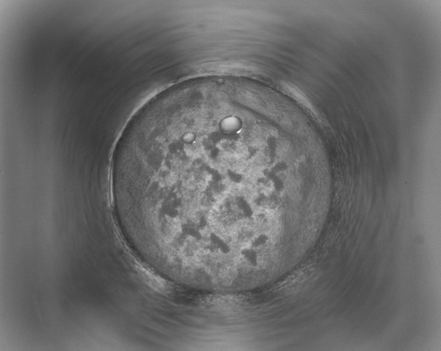 X0000072931079200608041210