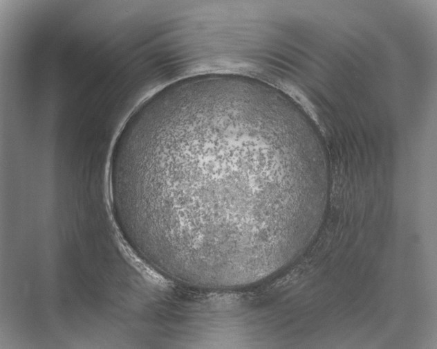 X0000072931080200608041210