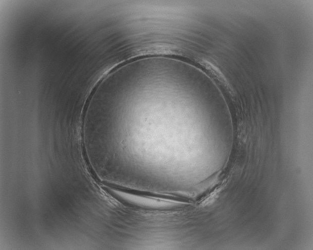 X0000072931081200608041210