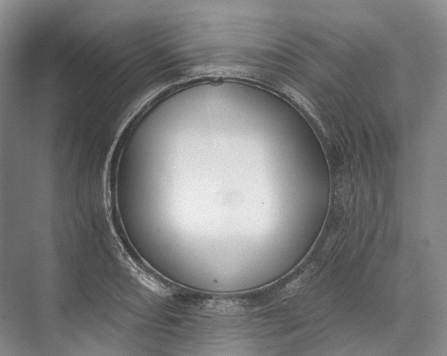 X0000072931082200608041210