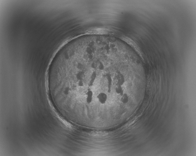 X0000072931083200608041210