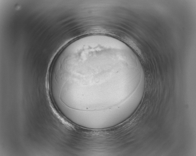 X0000072931084200608041210