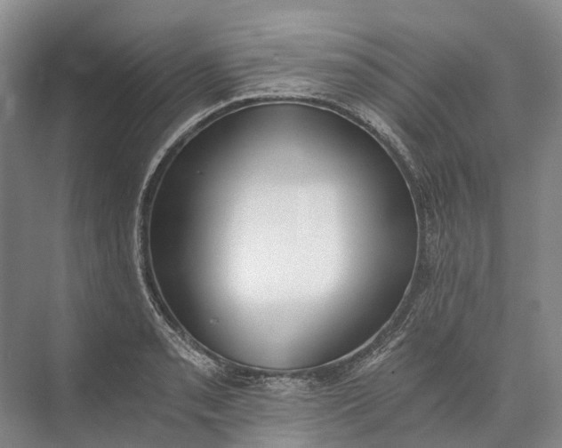 X0000072931085200608041210