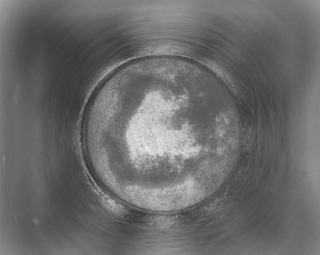 X0000072931086200608041210