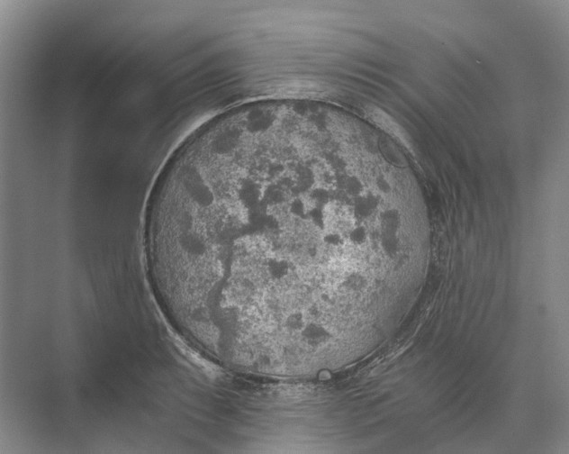 X0000072931087200608041210