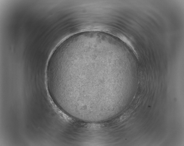 X0000072931088200608041210