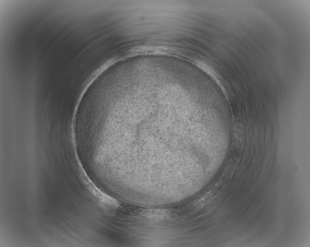 X0000072931090200608041210