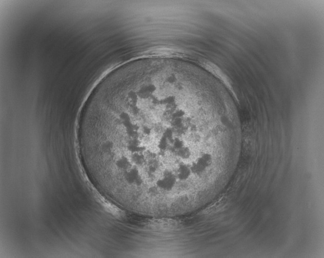 X0000072931091200608041209