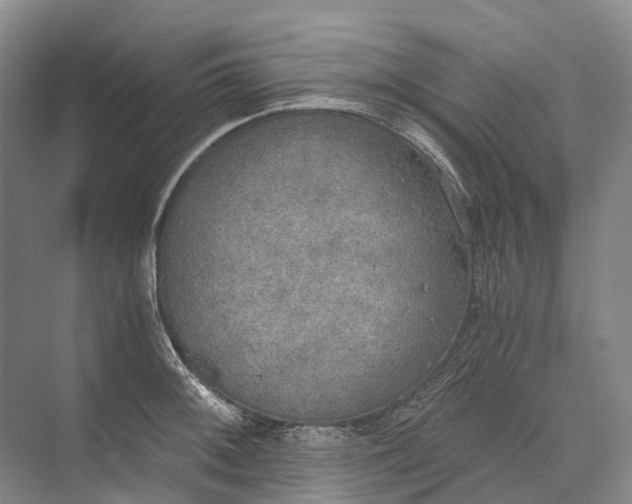 X0000072931092200608041209