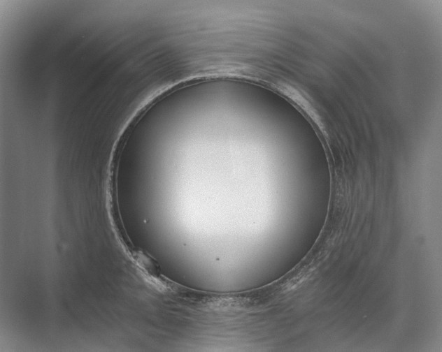 X0000072931093200608041209