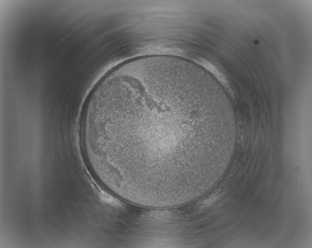 X0000072931094200608041209