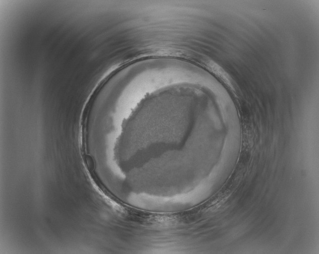 X0000072931095200608041209