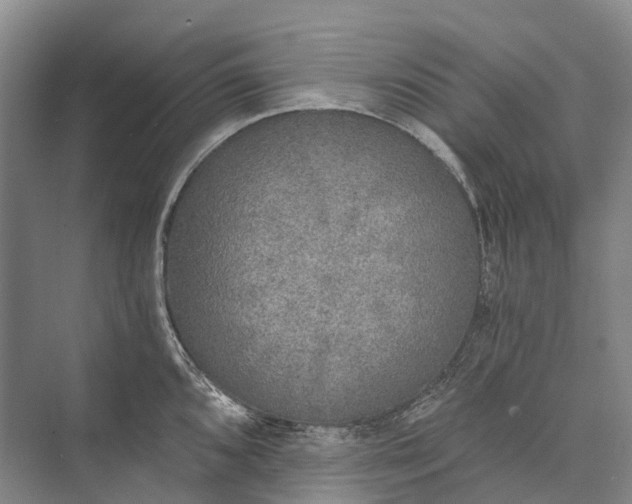 X0000072931096200608041209