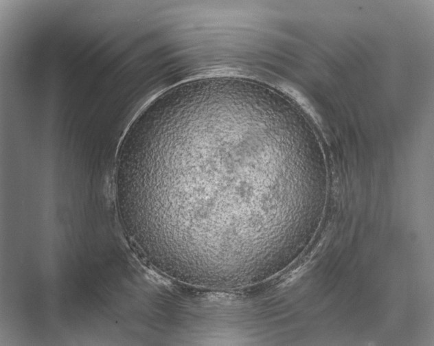 X0000072931097200608041209