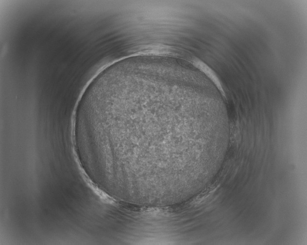 X0000072931099200608041209