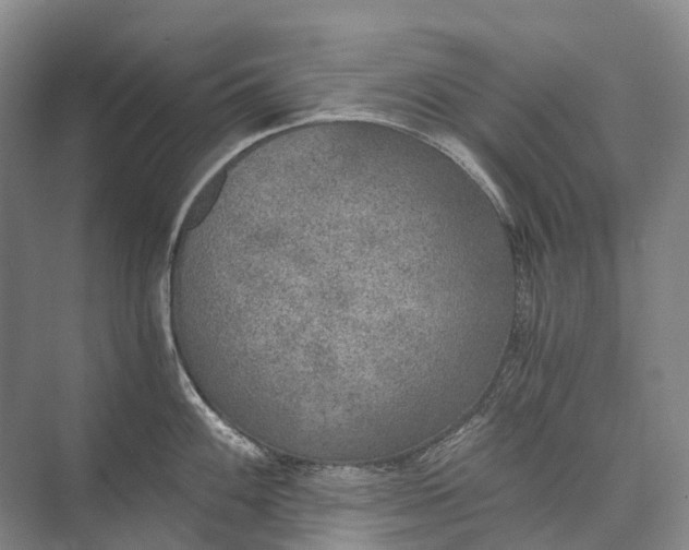 X0000072931100200608041209