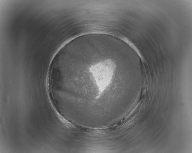 X0000072931101200608041209