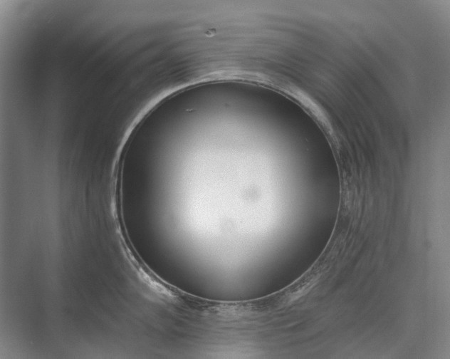 X0000072931102200608041209