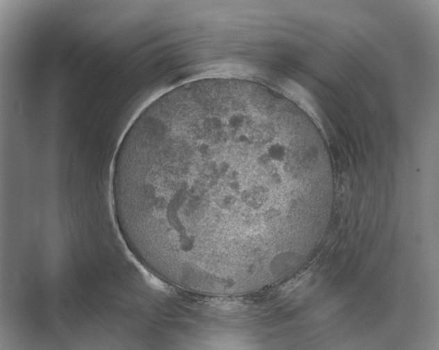 X0000072931103200608041209