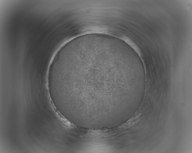 X0000072931104200608041209