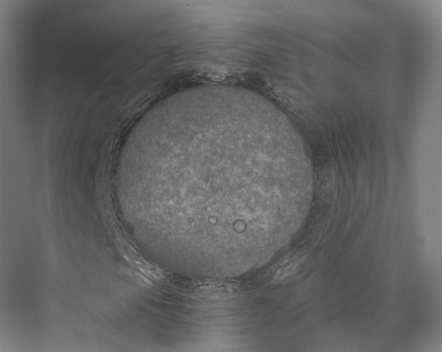 X0000072931105200608041208