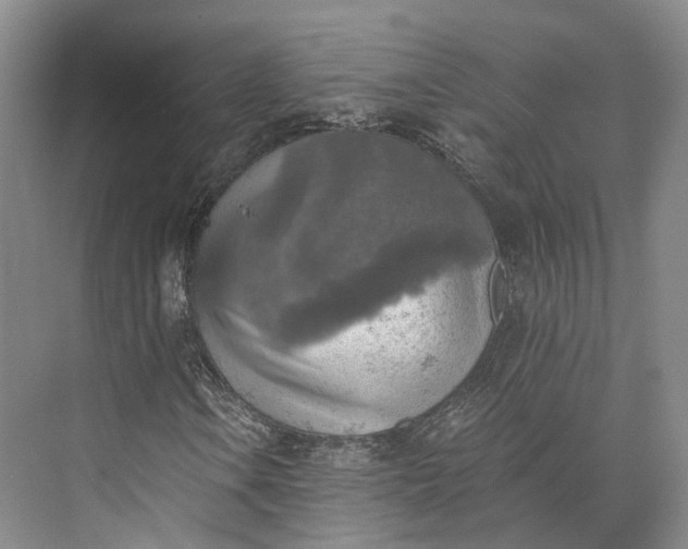 X0000072931106200608041208