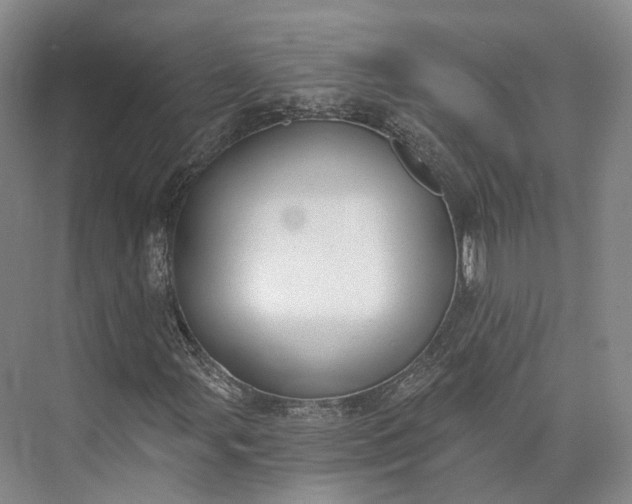 X0000072931107200608041208