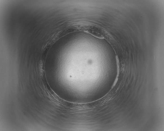 X0000072931108200608041209