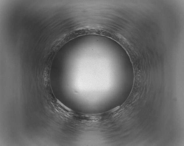 X0000072931110200608041209