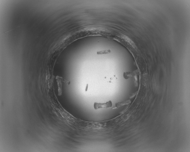 X0000072931111200608041209