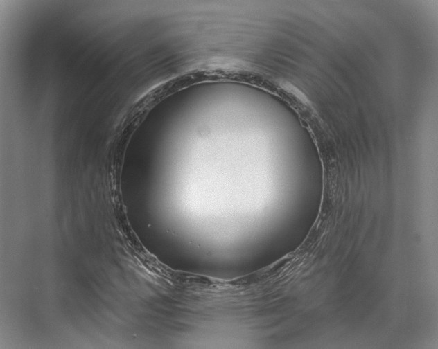 X0000072931112200608041209