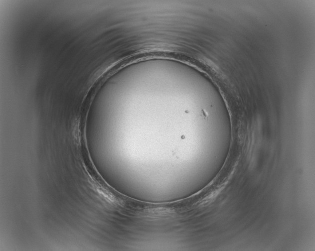 X0000072931113200608041209