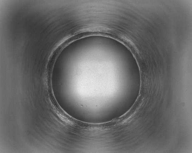 X0000072931114200608041209