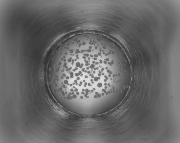 X0000072931115200608041209