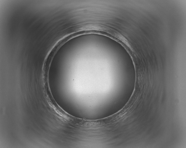 X0000072931116200608041209