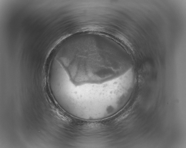 X0000072931117200608041209