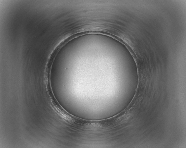 X0000072931119200608041209