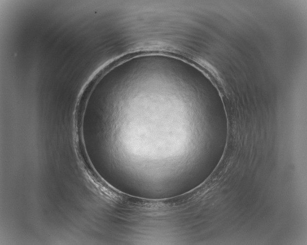 X0000072931120200608041209