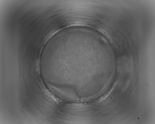 X0000072931121200608041209