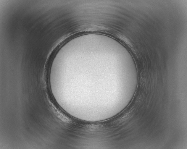 X0000072931122200608041209